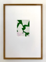 Filip Collin, Bloemen voor Jupiter I