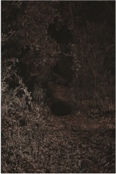 Javier Pérez, Camino 40322