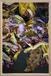 Jan Commandeur, 2020-05-09