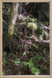 Jan Commandeur, 14-08-2021.2