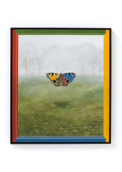 Dittmar Viane, The Endling