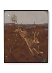 Dittmar Viane, The Hare and the Snare