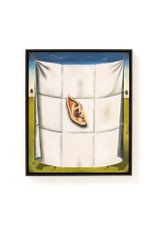 Dittmar Viane, Afdruk van een elf