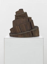 Sjoerd Buisman, Phyllotaxis Breughel