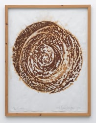 Sjoerd Buisman, Phyllotaxis