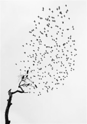 Pentti Sammallahti, Delhi, India