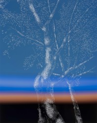 Sebastiaan Bremer, Produced Memory