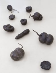 Sjoerd Buisman, Constricted Pumpkin