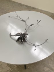 Hieke Luik, autofocus