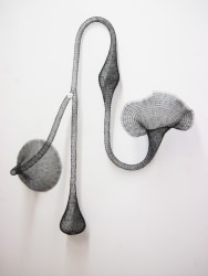 Caio Marcolini, ORG171