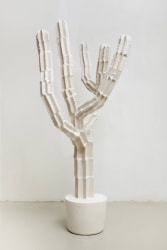 Maura Biava, Magic Heptagram #03