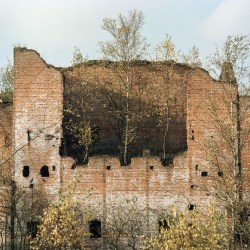 Luc Deleu & T.O.P. office, Neo-Nature L1