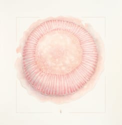 Ingrid Kruit, Kwal #12