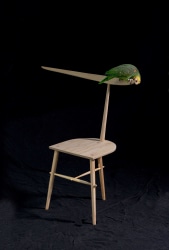 Studio Ossidiana, Chair for Humans and Birds 1
