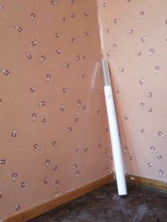 Laëtitia Badaut Haussmann, Tabak Trafik Wallpaper