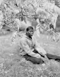 Donavon Smallwood, Languor 7