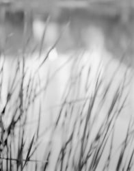 Donavon Smallwood, Languor 28