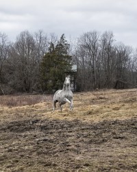Vanessa Winship, Horse, Ohio, USA