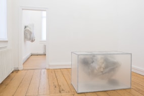 Maxime Brigou, (nog geen titel)