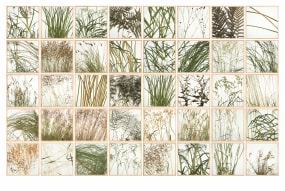 herman de vries, vegetation