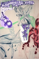 Seet van Hout, Shirley Double