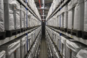 Kadir van Lohuizen, Seed bank