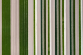 Kadir van Lohuizen, The farm land