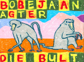 Michal Kruger, BOBEJAAN AGTER DIE BULT