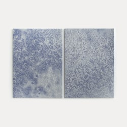 Tjitske Oosterholt, Sentience I & II