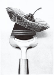 Ulrike Främbs, c h e e s e head