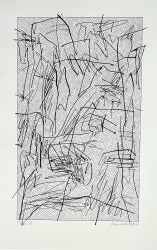 Jan J. Schoonhoven, T86-82