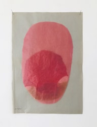 Ilse Pierard, Cell174206