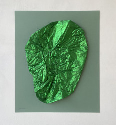 Ilse Pierard, Cell211122