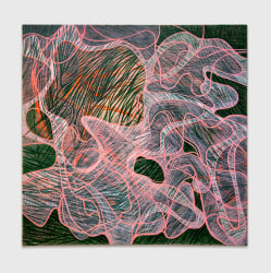 Vladimir Radujkov, AiR V