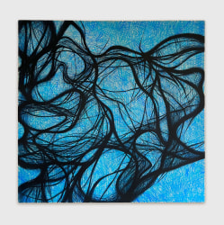 Vladimir Radujkov, AiR XI