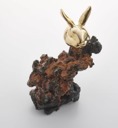 Yves Malfliet, Bouche de lapin