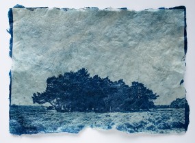 Mika Horie, This is how pine trees and dinosaurs were born