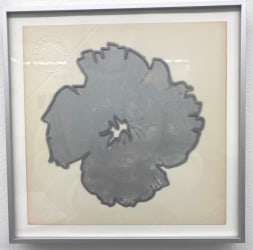 Stef Rijs, POPPY (silver)