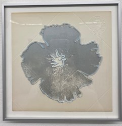 Stef Rijs, POPPY (white marker)