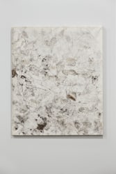 Karin Sander, Patina Paiting/Gebrauchsbild 144, Baugrund Haus 6, Berlin