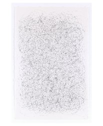 Jadranka Njegovan, Journey of an ADHD Fly -1