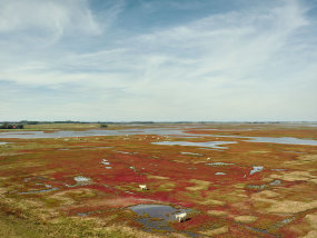 Jeroen Hofman, Plan Tureluur, Zeeland