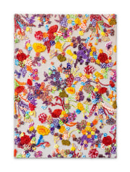 Arjan van Arendonk, Silicon Nature