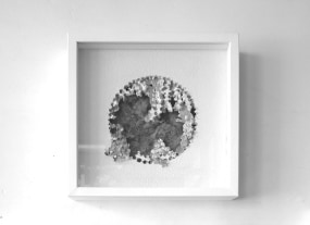 Judy van Luyk, Time's up