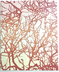 Tycho van Zomeren, Afterglow