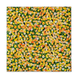 Arjan van Arendonk, Yellow daisies