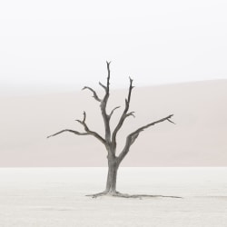 Tom D. Jones, BENGUELA - BG S4