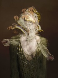 Rachel Nieborg, Mind Fields