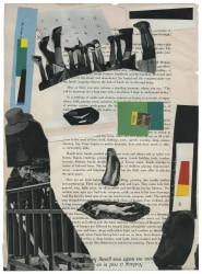 Arjan de Nooy, Untitled #24, from the series The Miff Anomaly