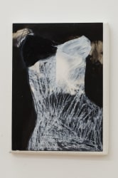 Diane Bogaerts, Untitled